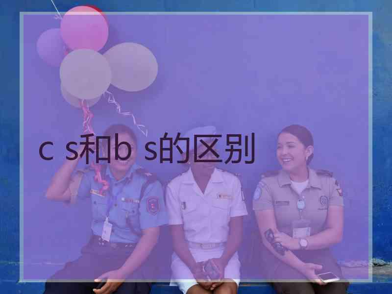 c s和b s的区别
