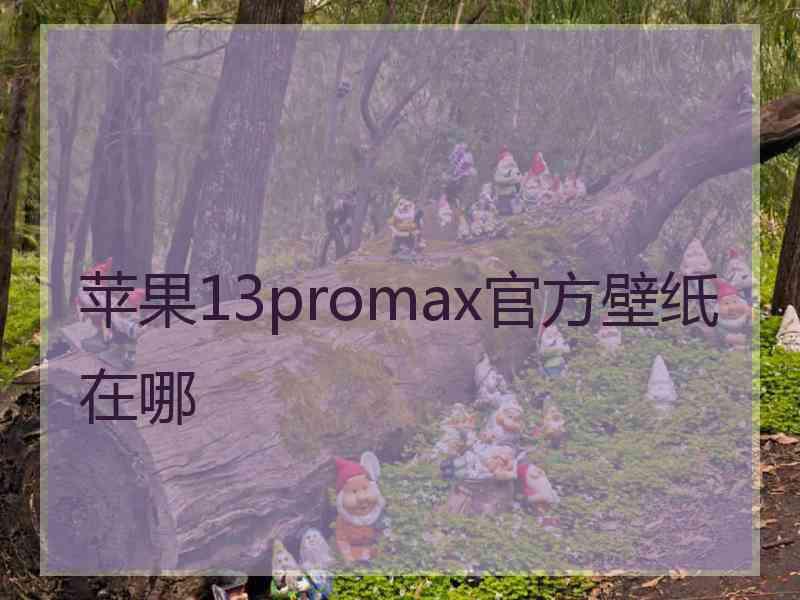 苹果13promax官方壁纸在哪