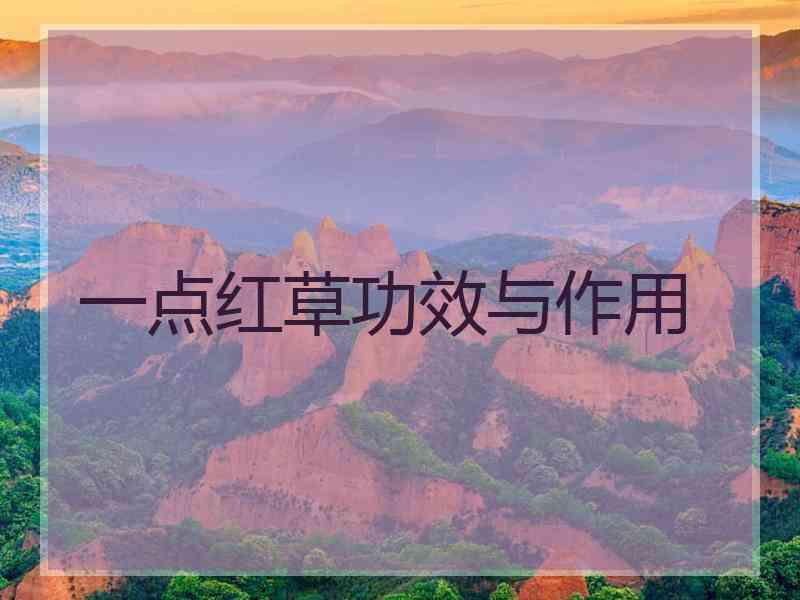 一点红草功效与作用