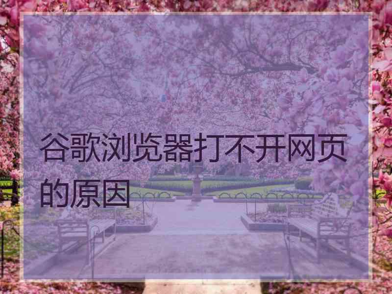 谷歌浏览器打不开网页的原因