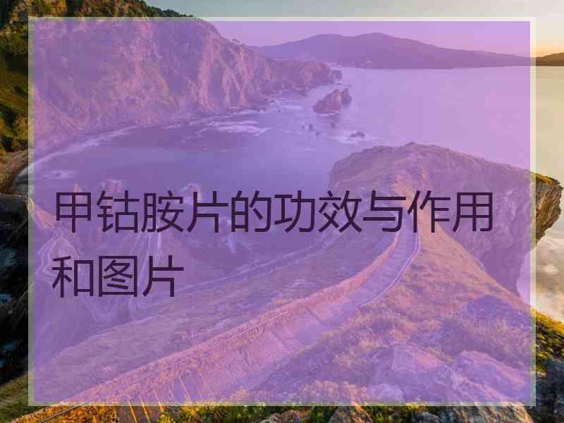 甲钴胺片的功效与作用和图片