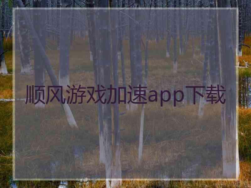 顺风游戏加速app下载