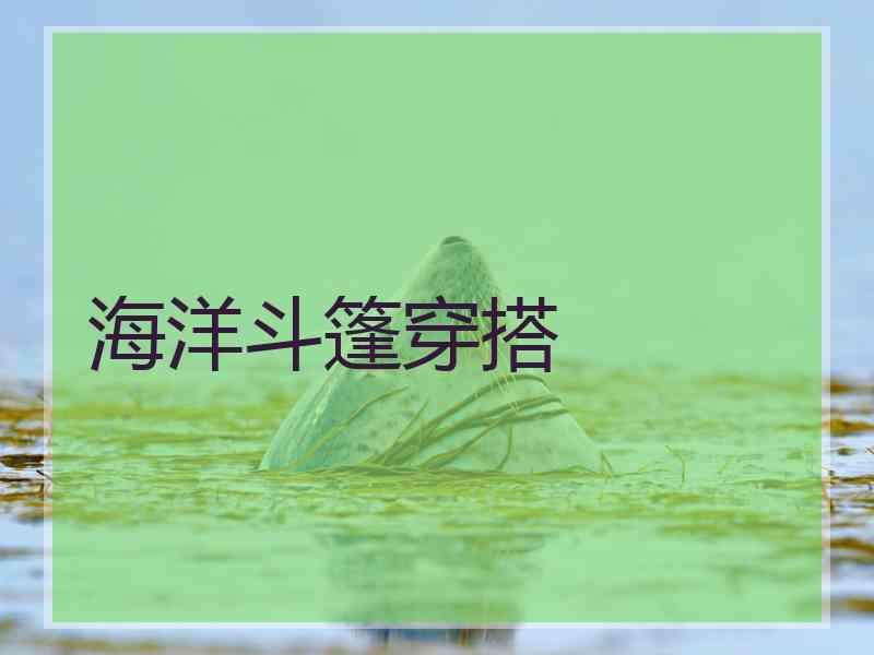 海洋斗篷穿搭