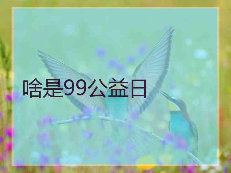 啥是99公益日