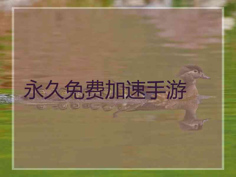 永久免费加速手游