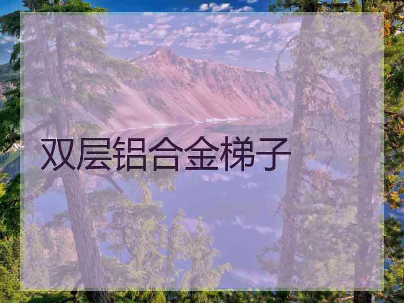 双层铝合金梯子