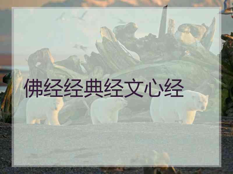 佛经经典经文心经