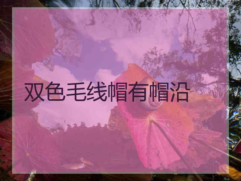 双色毛线帽有帽沿