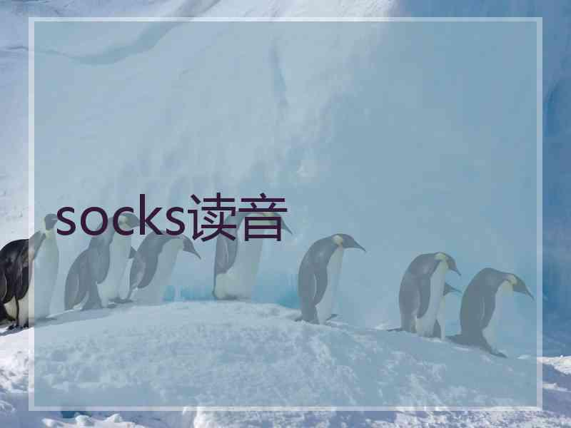 socks读音