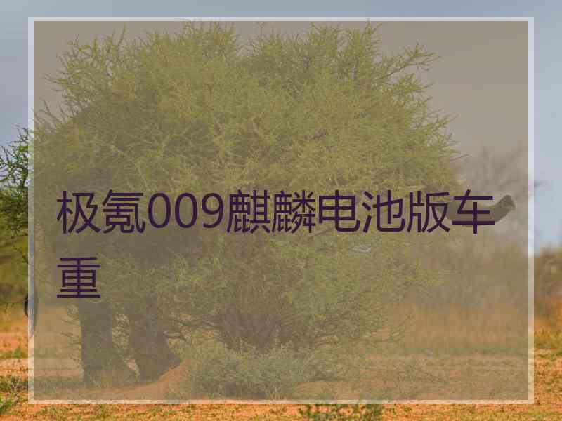 极氪009麒麟电池版车重