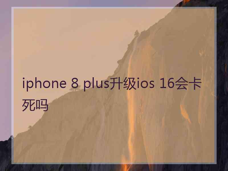 iphone 8 plus升级ios 16会卡死吗