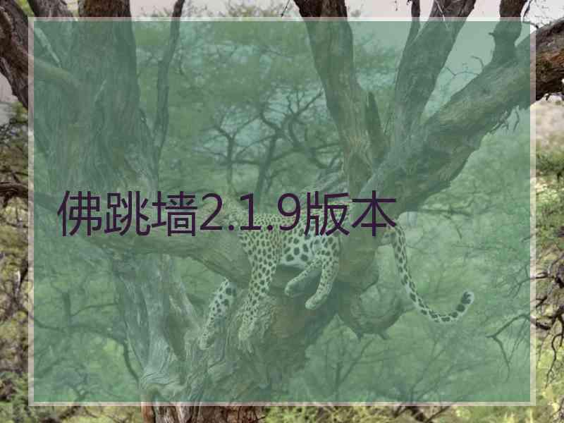 佛跳墙2.1.9版本