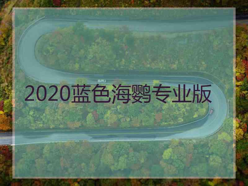 2020蓝色海鹦专业版