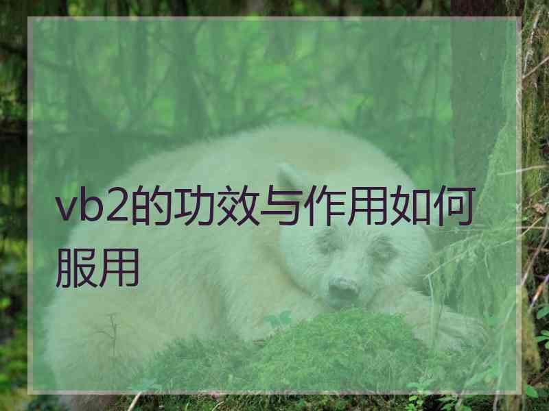 vb2的功效与作用如何服用