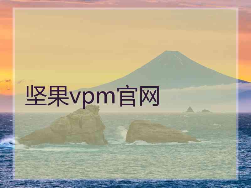 坚果vpm官网