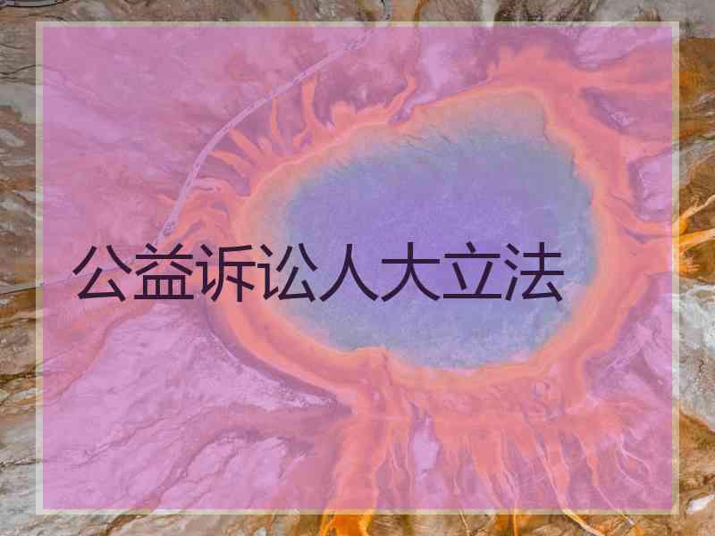 公益诉讼人大立法