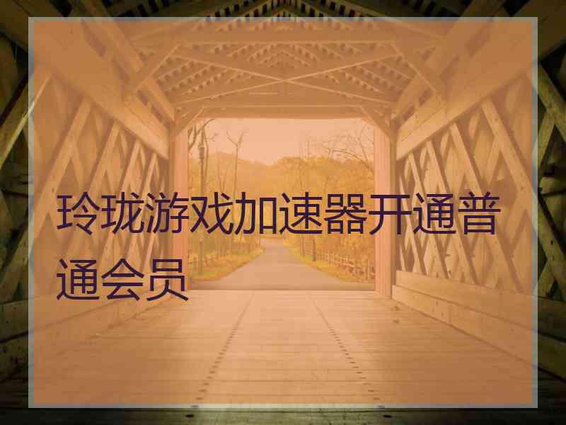 玲珑游戏加速器开通普通会员