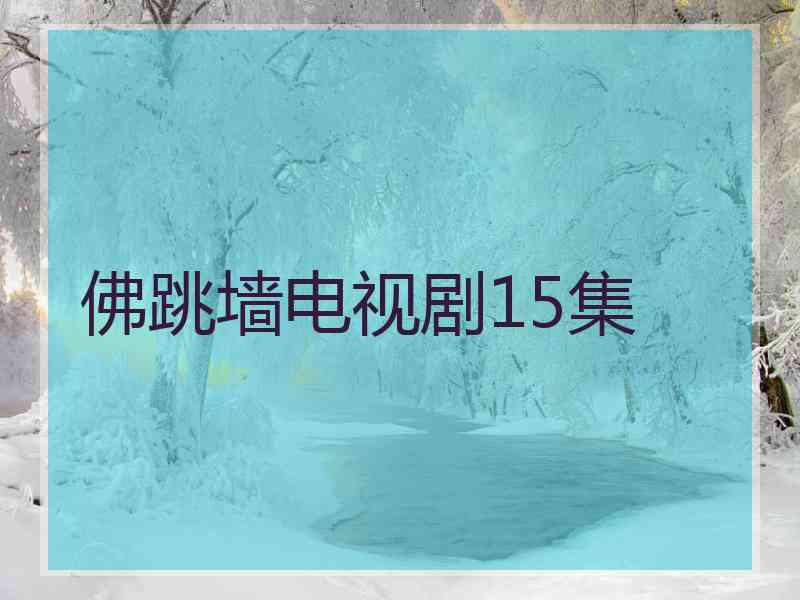 佛跳墙电视剧15集