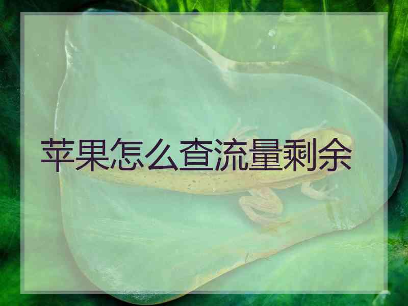 苹果怎么查流量剩余