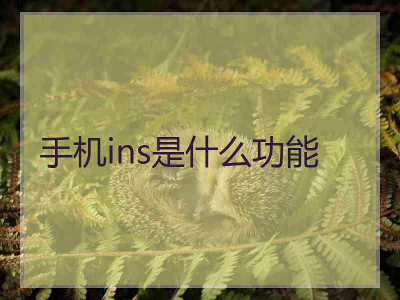 手机ins是什么功能