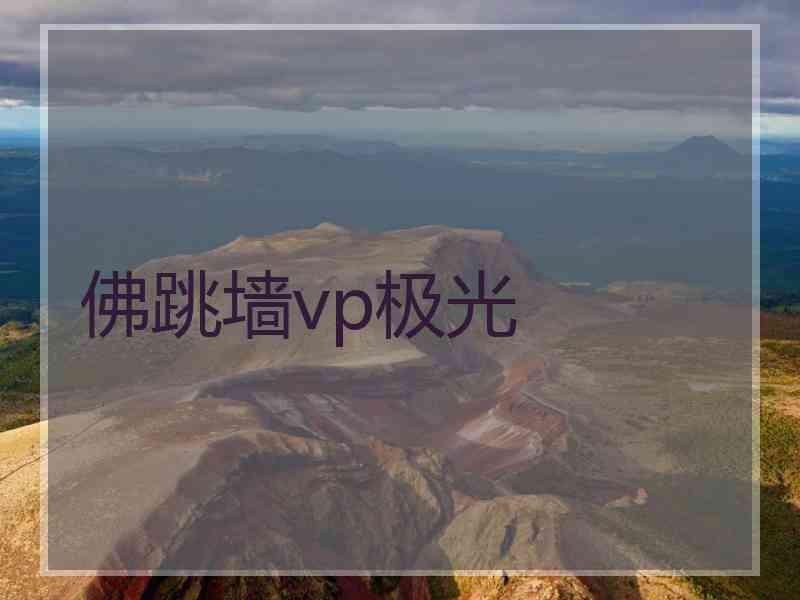 佛跳墙vp极光