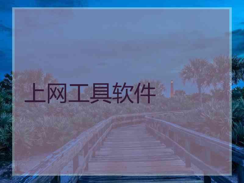 上网工具软件