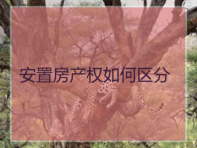 安置房产权如何区分