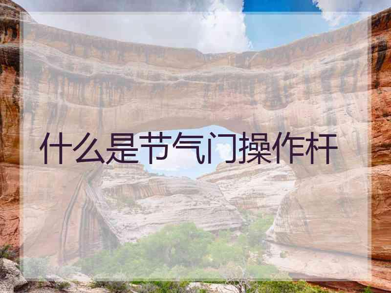 什么是节气门操作杆