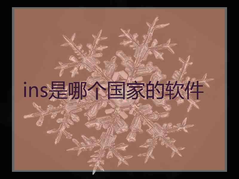 ins是哪个国家的软件