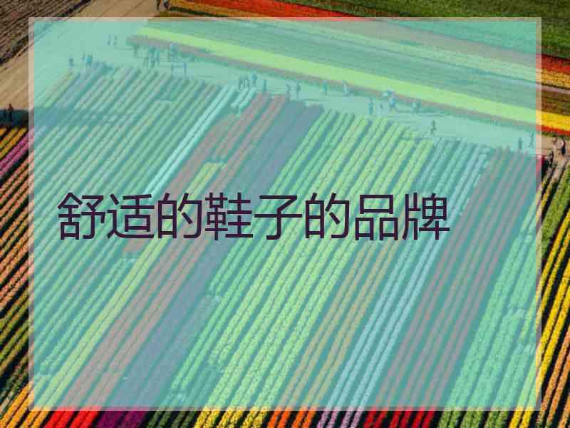 舒适的鞋子的品牌