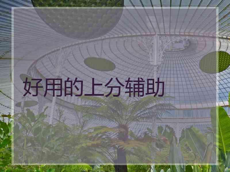 好用的上分辅助