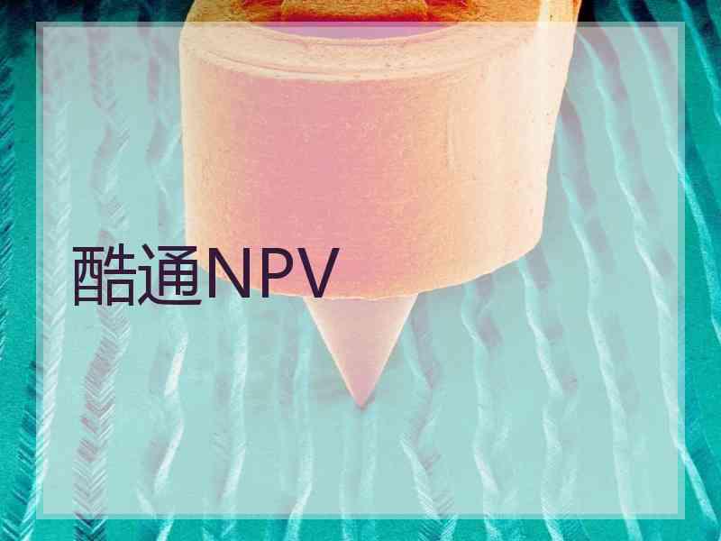 酷通NPV