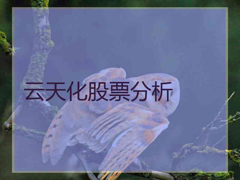 云天化股票分析