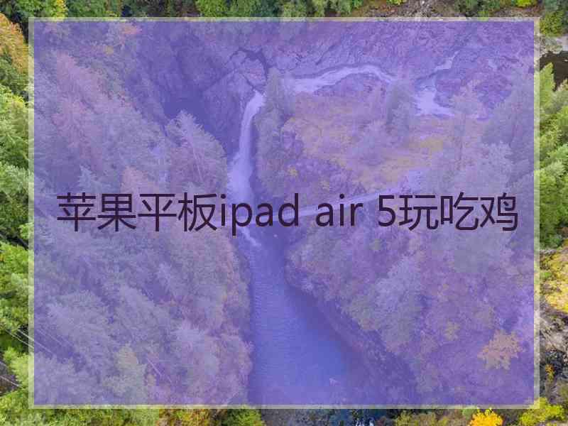 苹果平板ipad air 5玩吃鸡