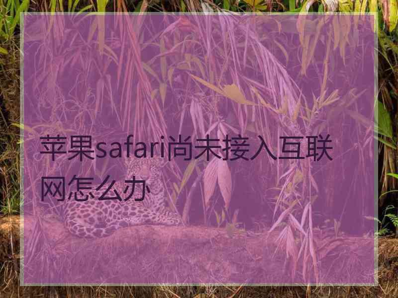 苹果safari尚未接入互联网怎么办