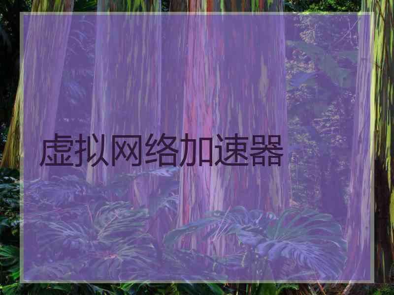 虚拟网络加速器