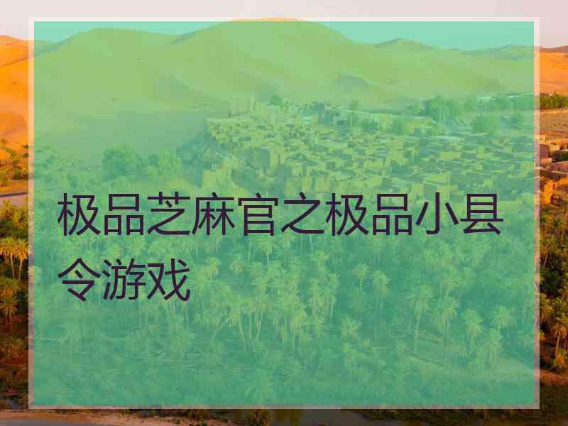 极品芝麻官之极品小县令游戏