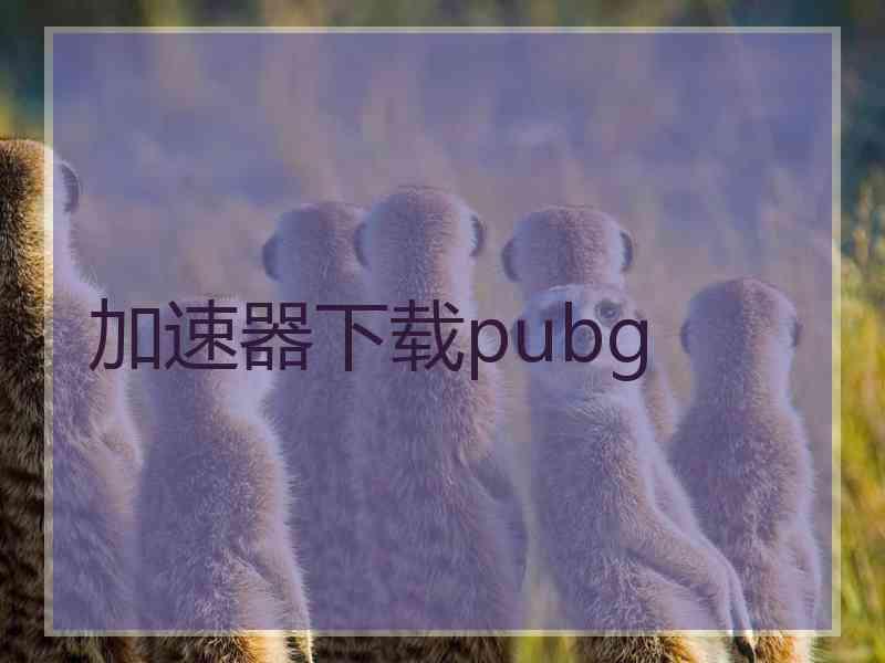 加速器下载pubg