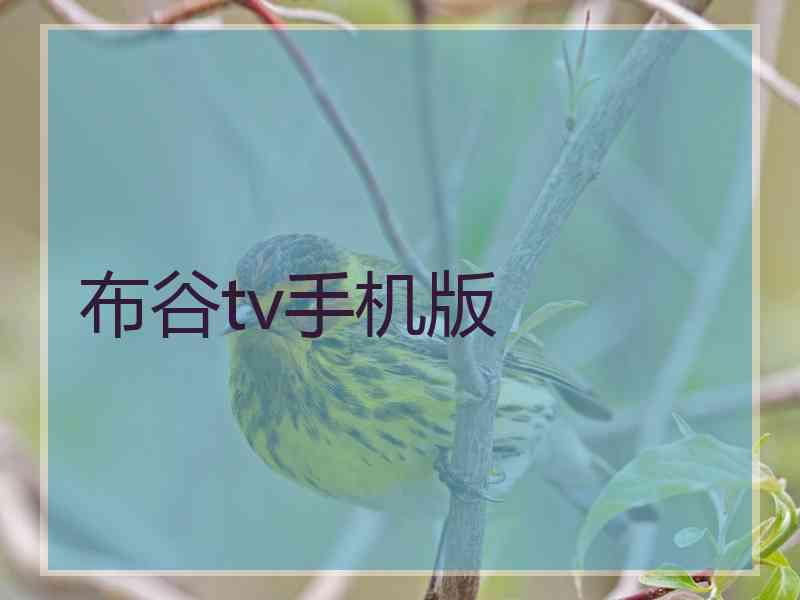 布谷tv手机版