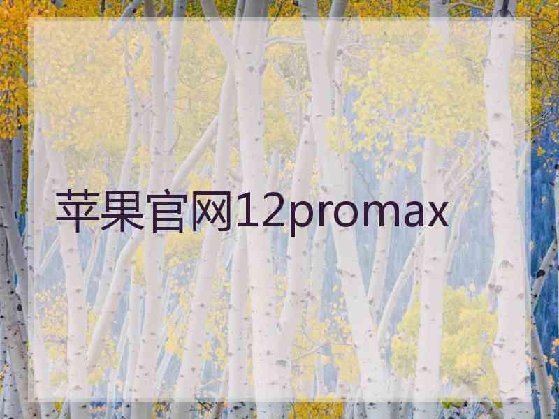 苹果官网12promax