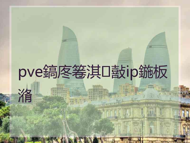 pve鎬庝箞淇敼ip鍦板潃