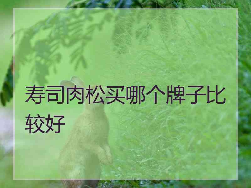 寿司肉松买哪个牌子比较好