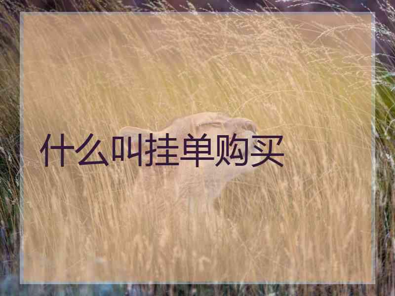 什么叫挂单购买