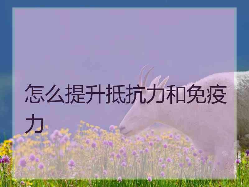 怎么提升抵抗力和免疫力