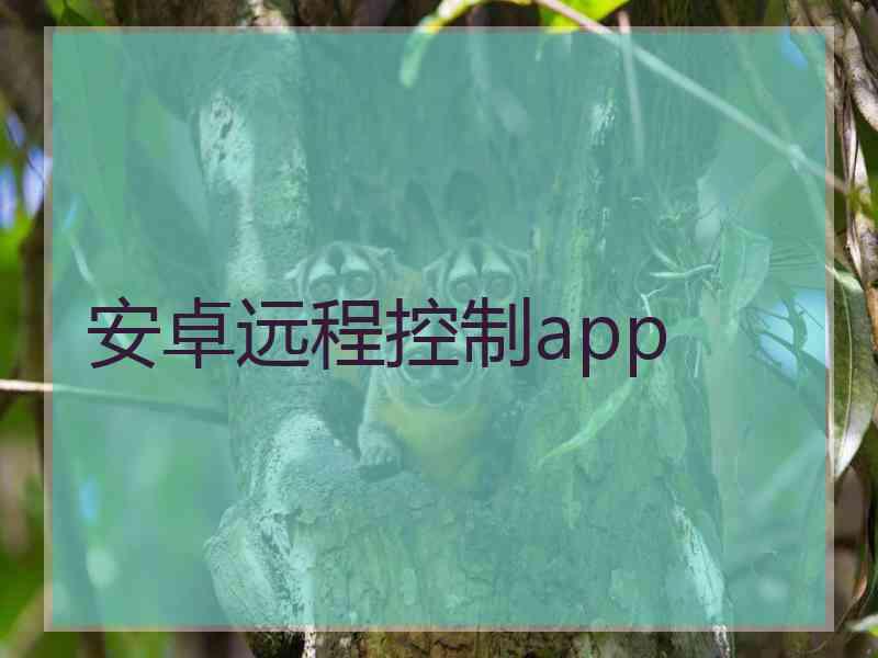 安卓远程控制app