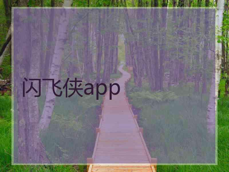 闪飞侠app