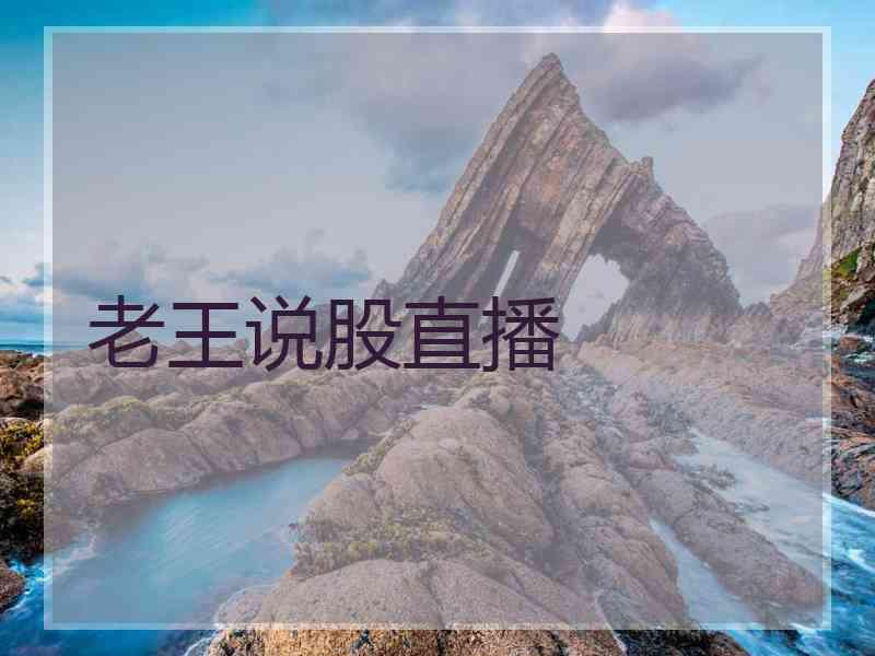 老王说股直播