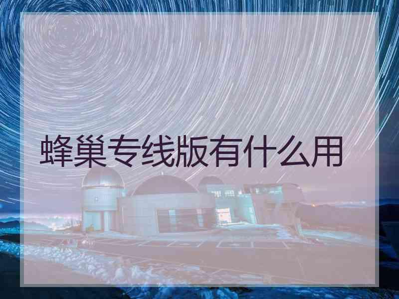 蜂巢专线版有什么用