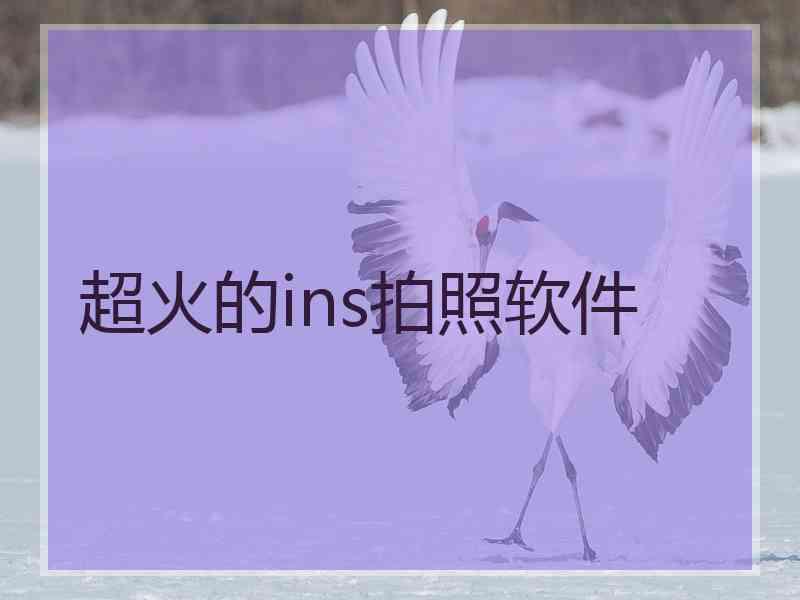 超火的ins拍照软件