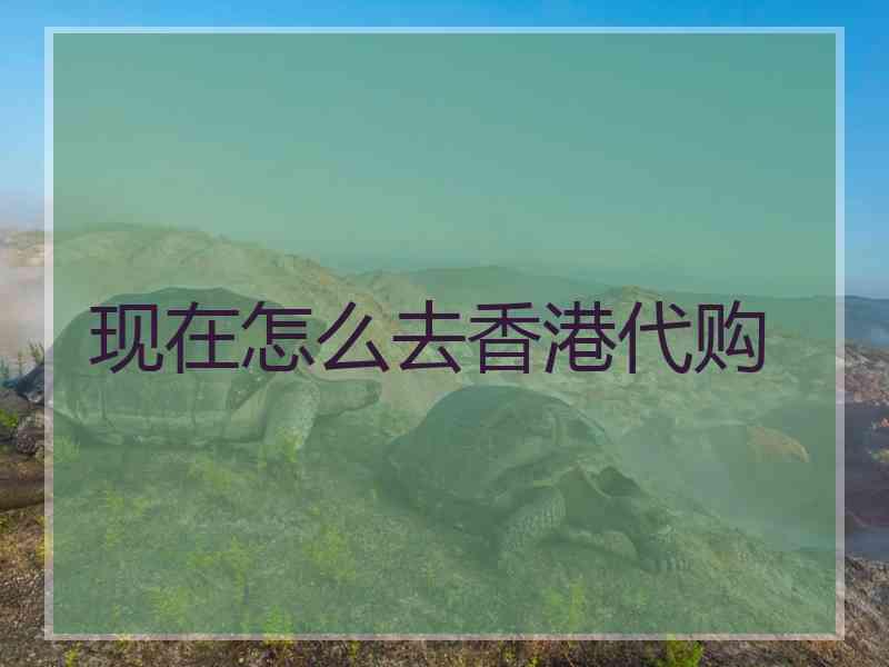 现在怎么去香港代购